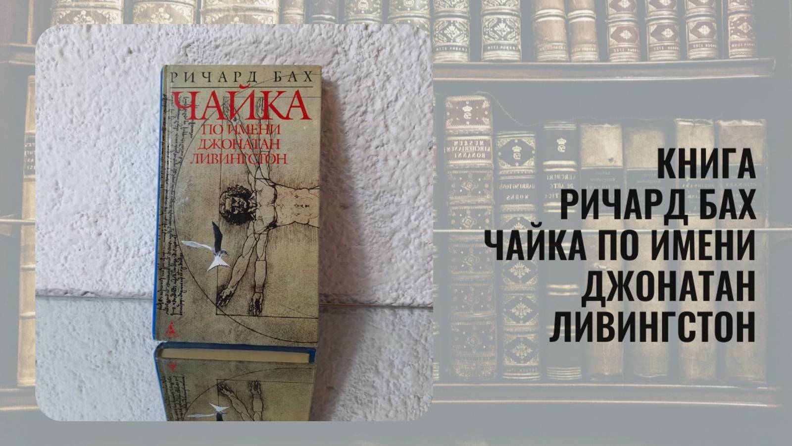 Книга Ричард Бах Чайка по имени Джонатан Ливингстон