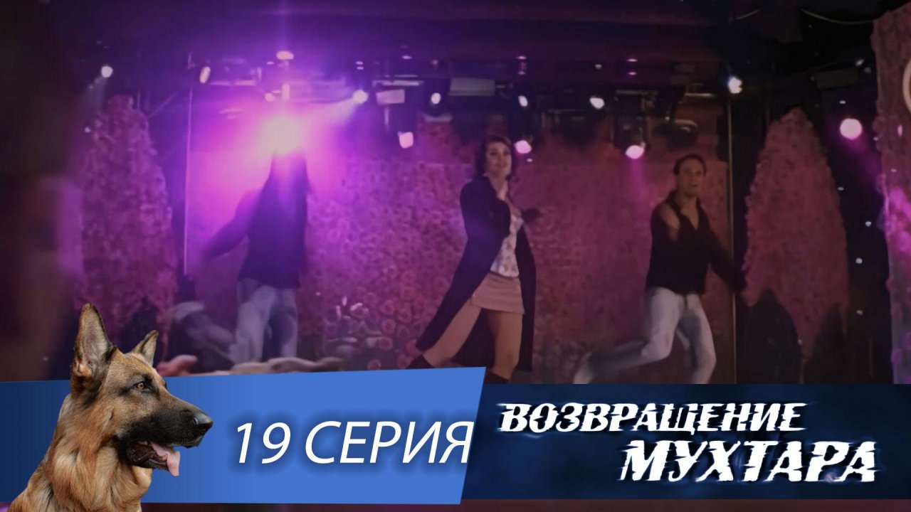 «Возвращение Мухтара»: «Охота на звезду» (1 сезон. 19 серия)