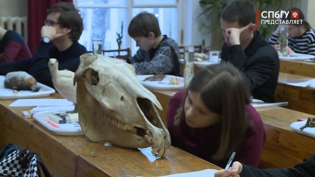 Новости СПбГУ: Региональный этап Всероссийской олимпиады школьников по биологии прошёл в СПбГУ