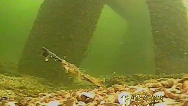 YouCut_20231202_162133124.mp4