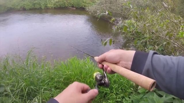 Десна, завершение ЛЕТНЕГО СЕЗОНА 2018.mp4