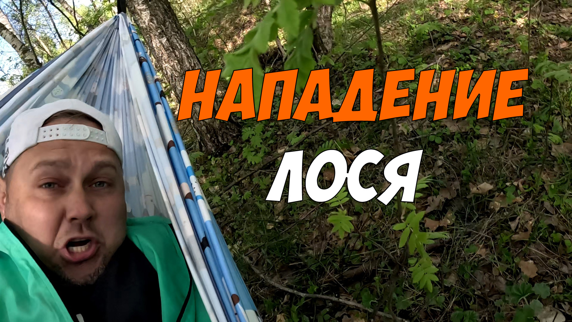 Лось напал на туриста - битва с Хозяином Леса