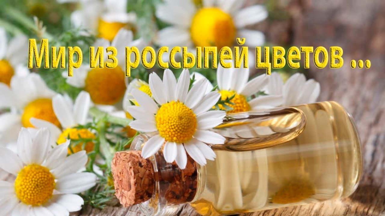 Мир из россыпей цветов*