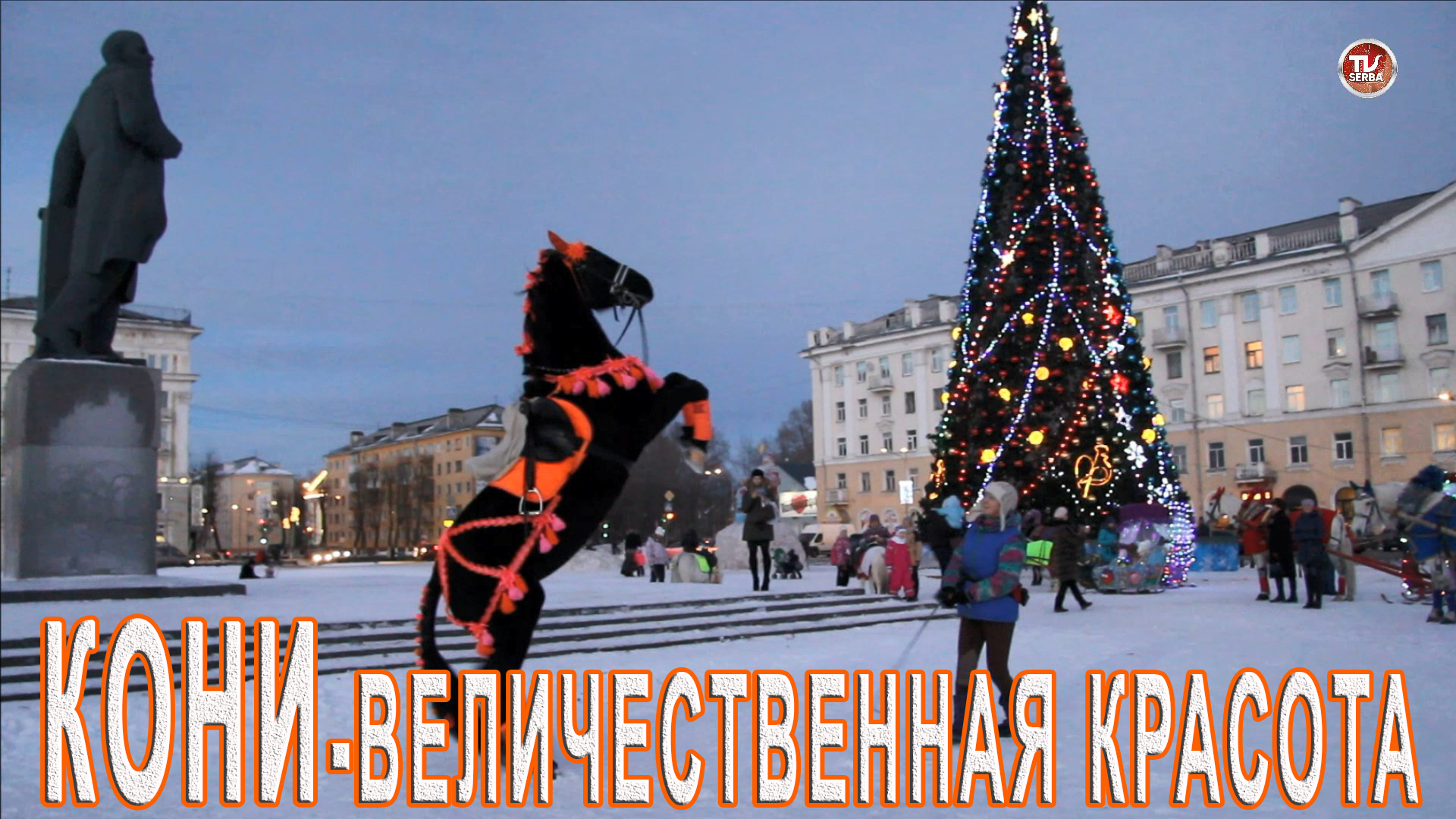 Кони (Horses) - величественная красота, грация и мощь / РЖАКА! / СербаТВ ?