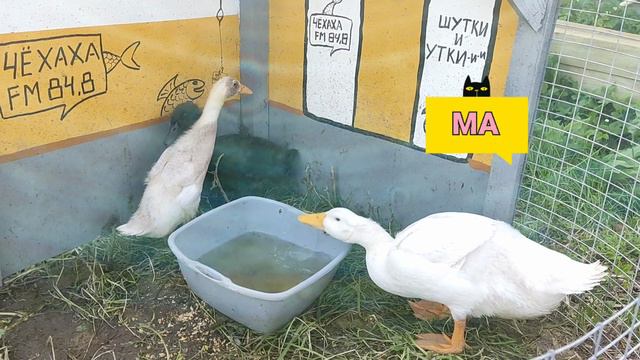 Родственники