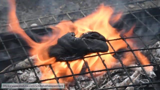 Мышка сгорела