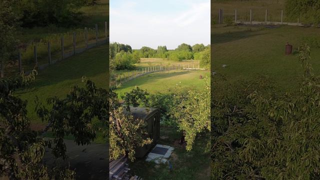 На крыше сижу, далеко на красоты гляжу.