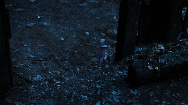 Уэнсдэй 1 сезон 3 серия Не разлей беда