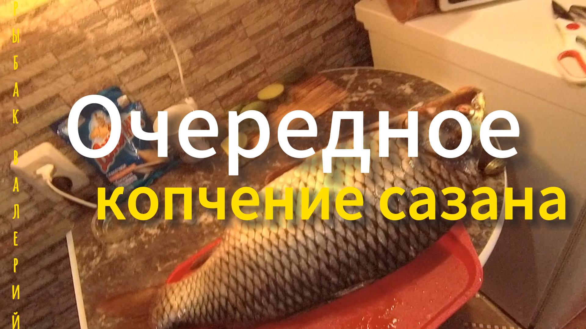 Очередное соление и копчение сазанов