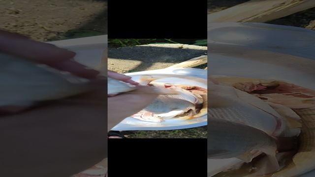 6 часть рыбалки