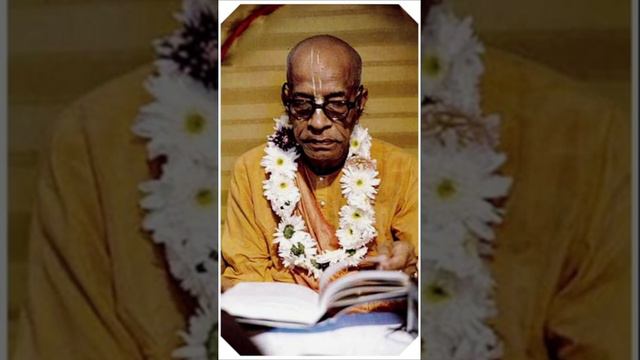 В чём состоит разум. Шрила Прабхупада