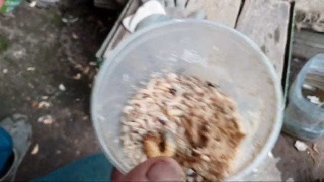 Моя новая причёска!?Хрущ!?Бахтик обжорка.?