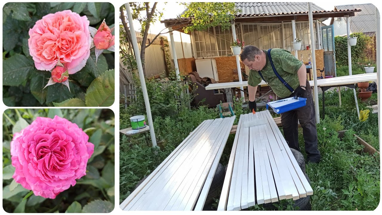 Работа кипит! Наводим красоту на даче.