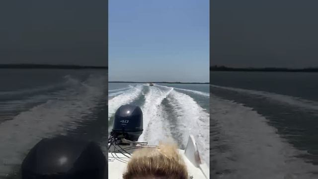 bd0add46-86ab-4100-923e-2748bcaa0d19