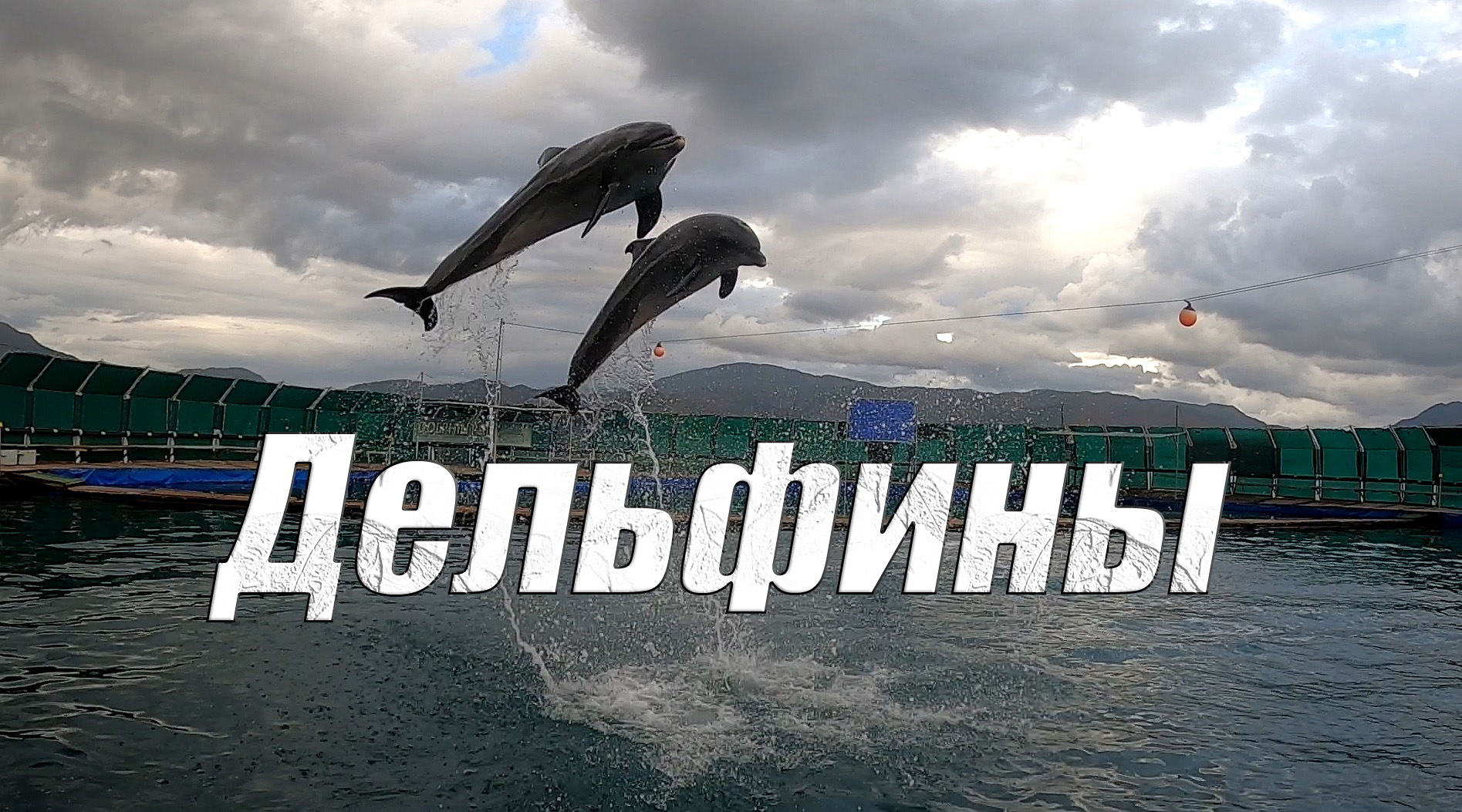 Что посмотреть в Мармарисе - Дельфинарий