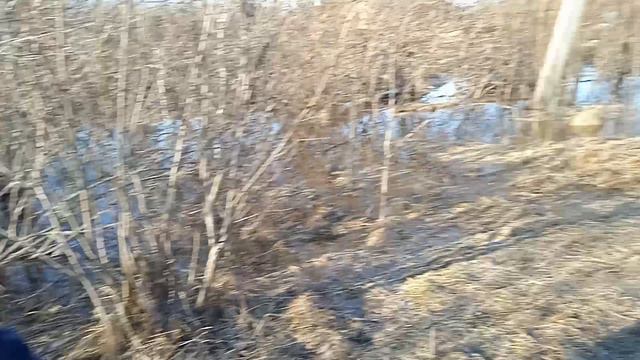 Речка набирает обороты. Скоро выйдет из берегов