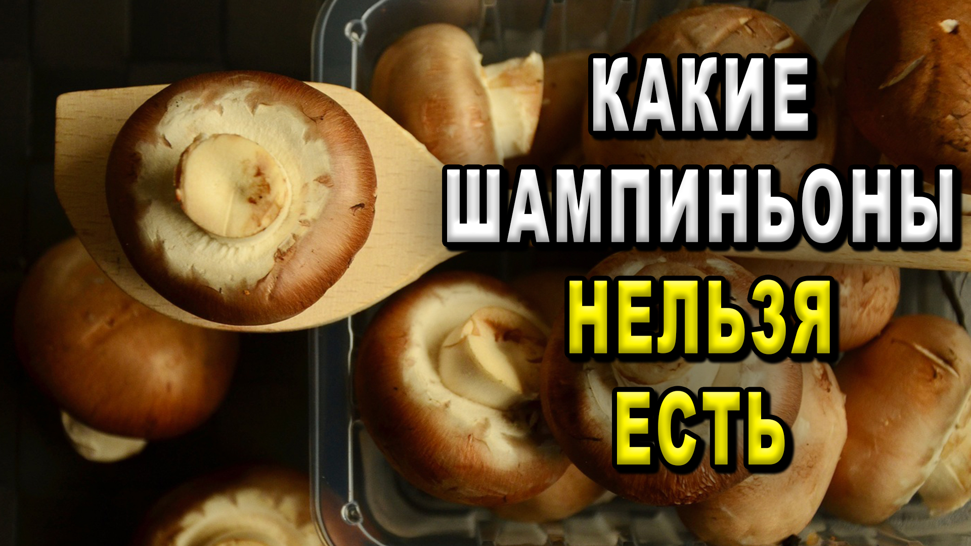 Какие шампиньоны нельзя есть