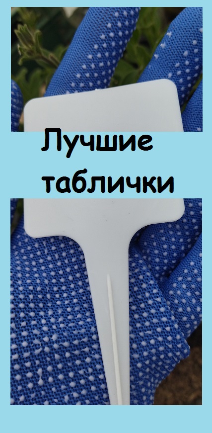 Я использую дешевые и удобные ТАБЛИЧКИ ДЛЯ РАСТЕНИЙ, в этот раз к ним положили подарок! #огород #сад
