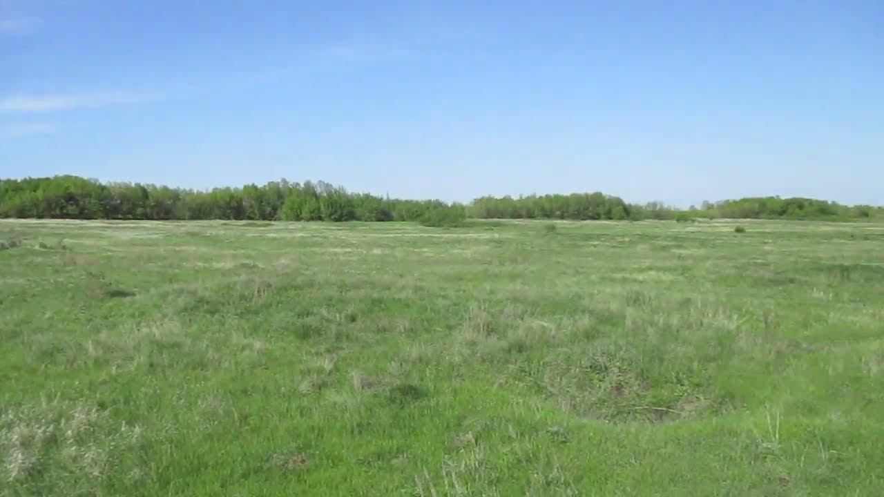 Опустевший хутор Туповой (Дубовой), Саратовский район