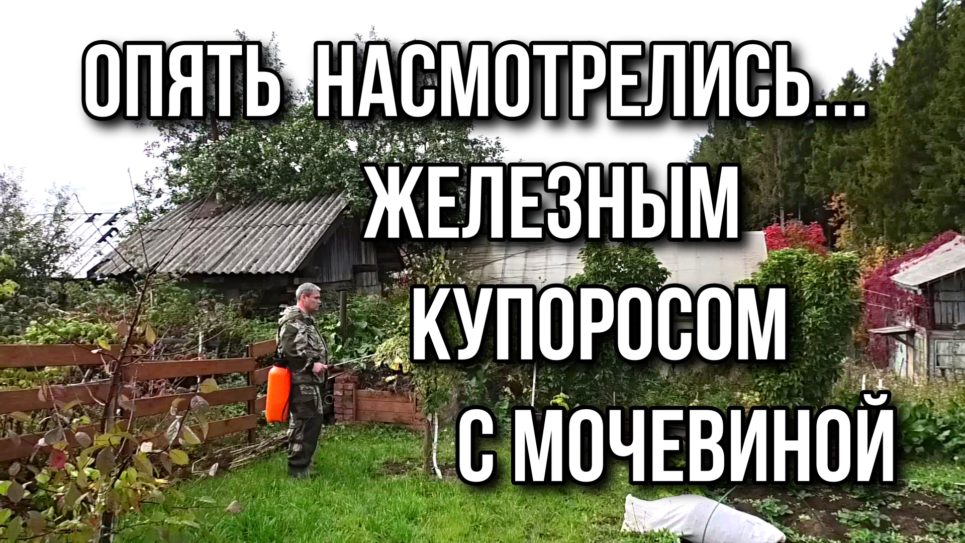 Капуста не треснула, но калину спилили...