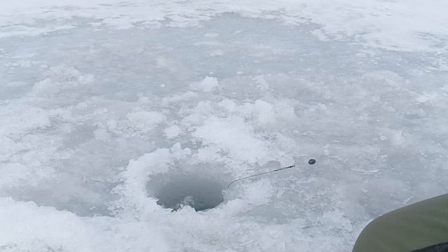 Рыбалка на жерлицы.22.03.24г.Весенняя щука.