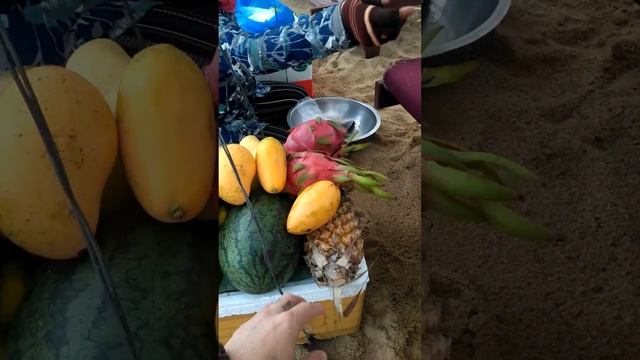 Вьетнамка поёт русские песни. mp4