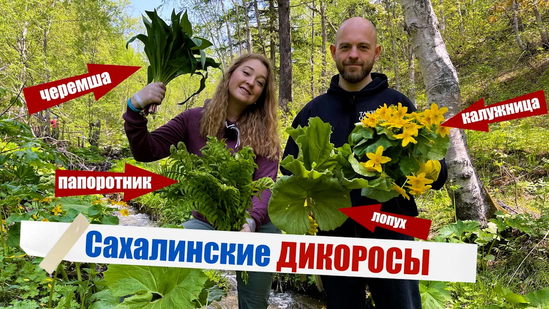 Лопух, папоротник и черемша — сахалинские дары природы! Учимся их собирать и готовить