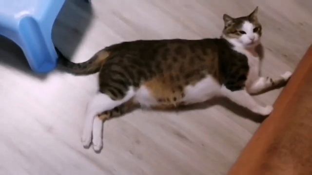 2020 г РЕМОНТ ХРУЩЕВКИ ДЕНЬ 31