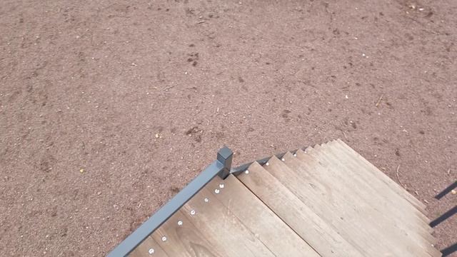 Собачья площадка на Заводском.