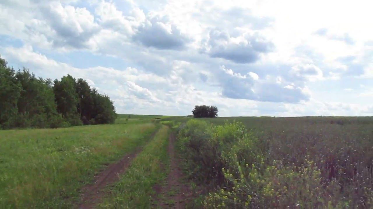 Опустевший посёлок Новая Жизнь (Совиное), Лысогорский район.