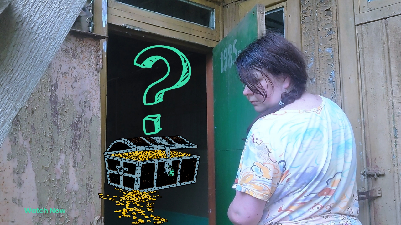 Сокровища старого сарая. Расхламление и организация хранения