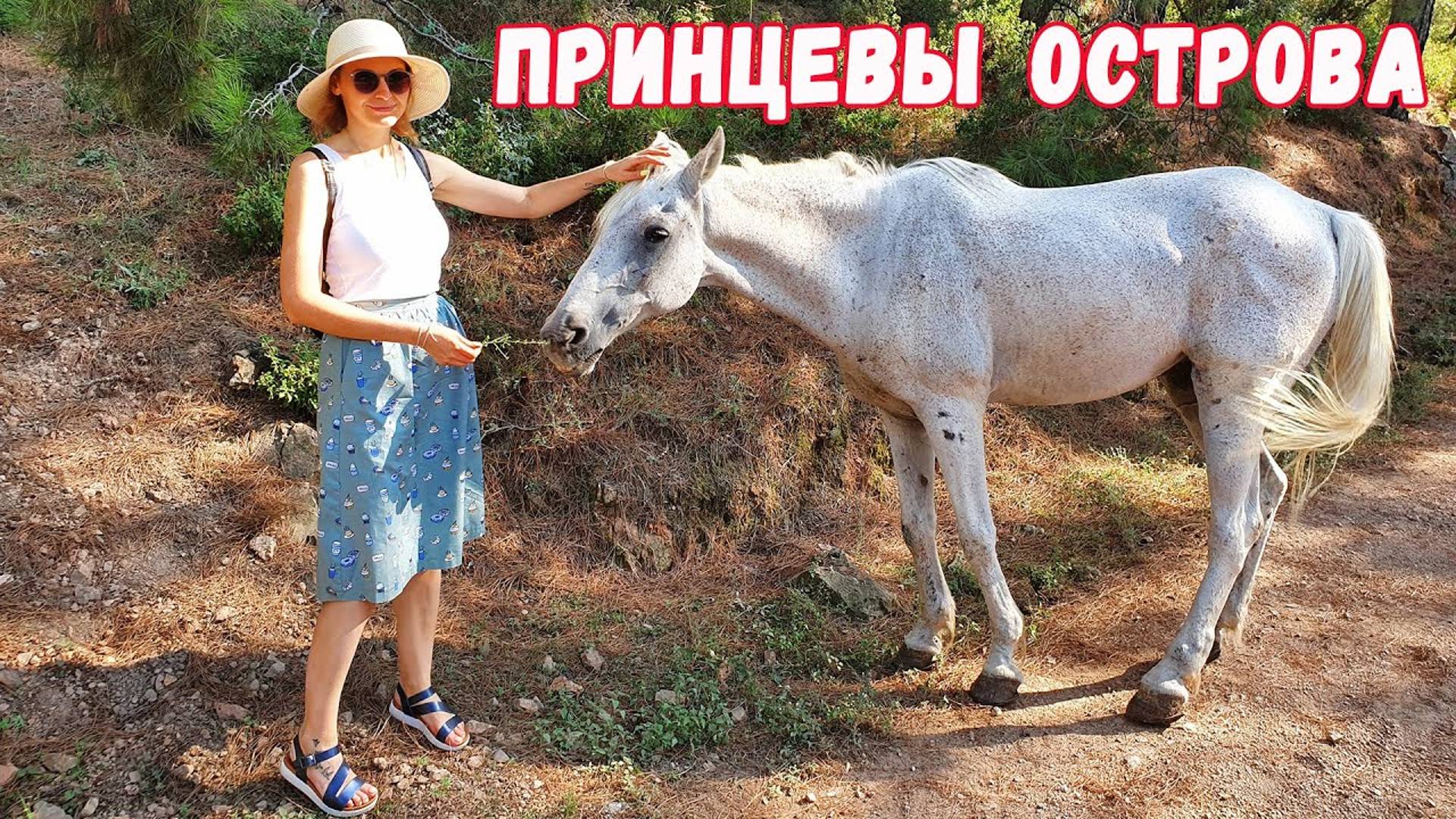 СТАМБУЛ! ЕДЕМ НА ПРИНЦЕВЫ ОСТРОВА Турция - БЮЮКАДА. За что так любят туристы?