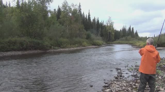 9 Серия Ловля Рыбы Хариус по 2 Сразу Алтайская Балда Удочка Поплавок Тайга Перекат Федоровича Сухой