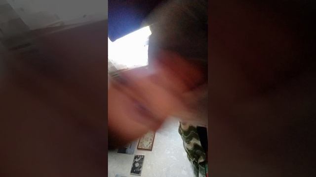 чипи чипи чапа чапа