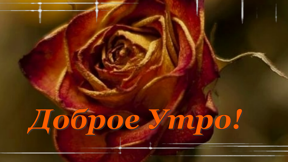 Красивая Музыкальная Открытка! Доброе Утро!