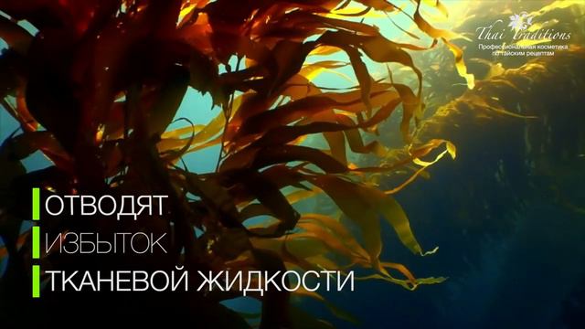 Антицеллюлитная серия для тела Цитрус. Механизм действия.