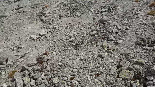 день 1 Хибины июнь 2024