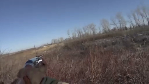 Охота на зайцев - Шестой