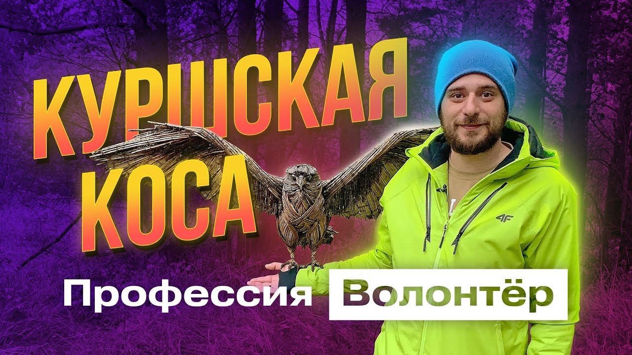 Тайна ЗАГАДОЧНЫХ ФИГУР в Калининградском лесу|Профессия волонтёр|Серия 10