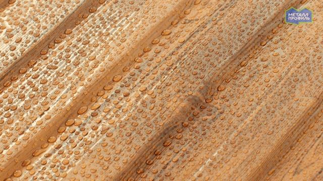 Покрытие ECOSTEEL® Цвет Золотой Дуб, текстурированный