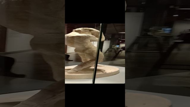 Выставка в музее. Современная экспозиция.