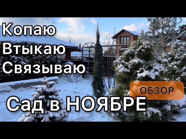 Прогулка по саду. Обзор растений с названиями. Работы в саду Дневник садовода Архив