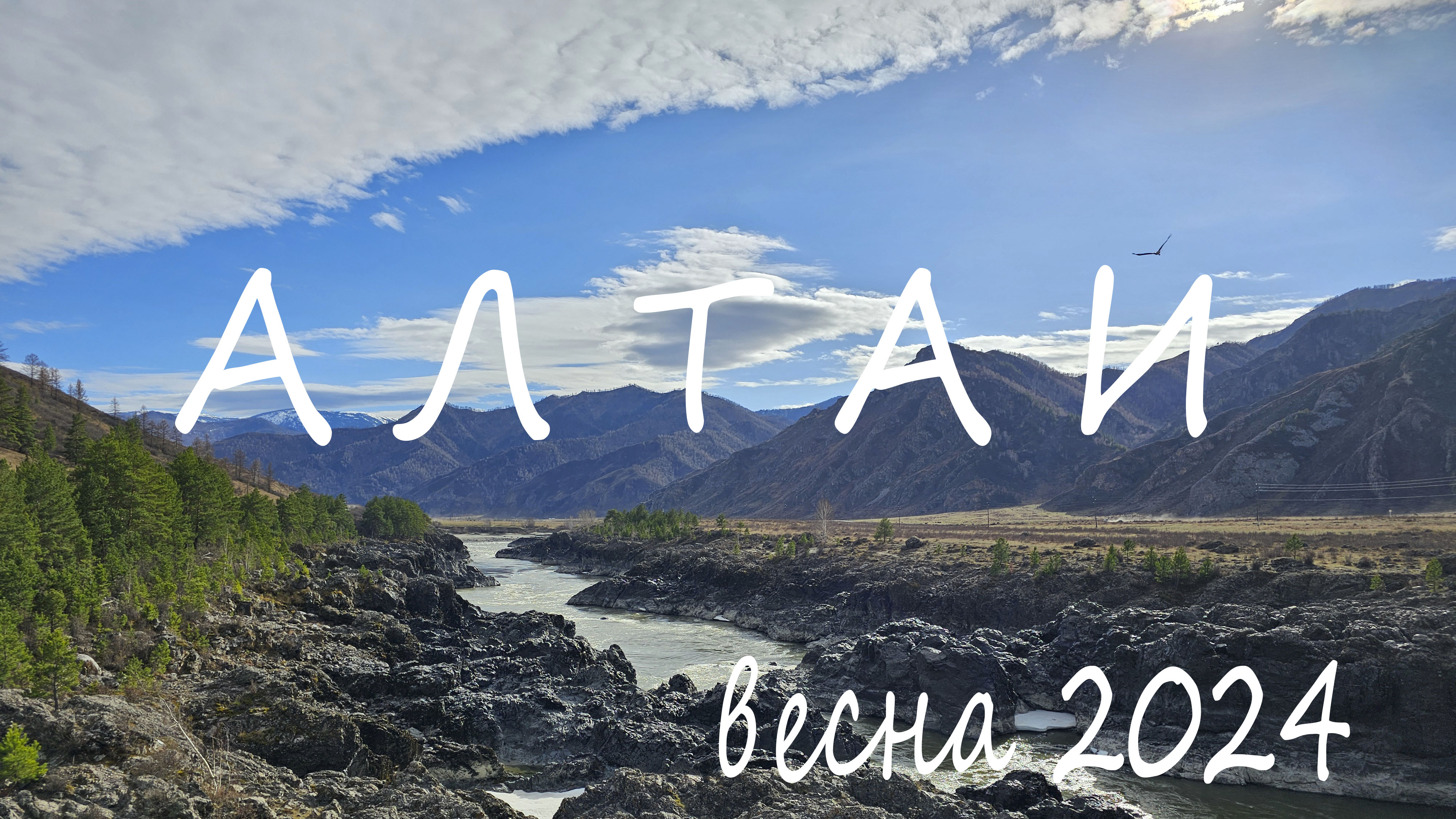 Алтай весна 2024. Манжерок. Бирюзовая Катунь. КЛЕЩИ! Ороктойский мост.