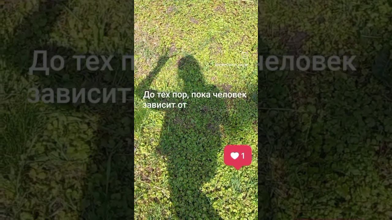 непроявленность