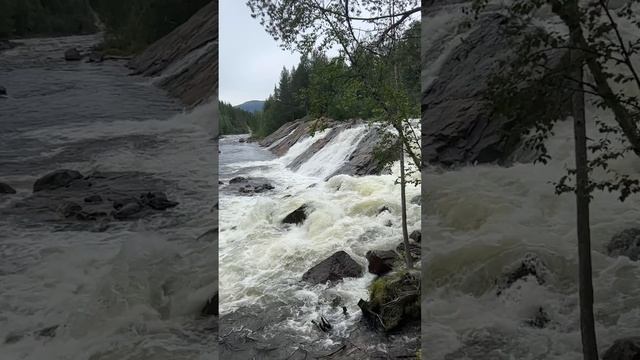 Вот такое лето в Заполярье
