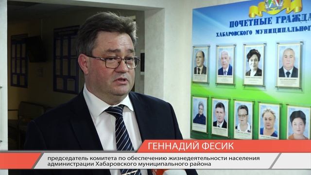 Бездомные собаки стали полновластными хозяевами села в Хабаровском районе