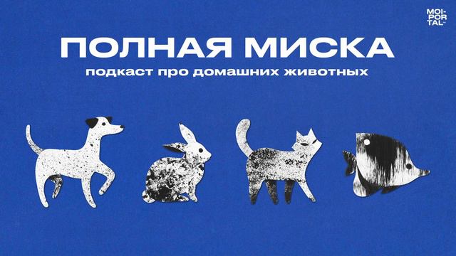 Полная миска | Путешествия с питомцем