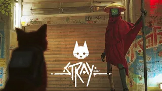 ГОРОД РОБОТОВ _#2_ Stray