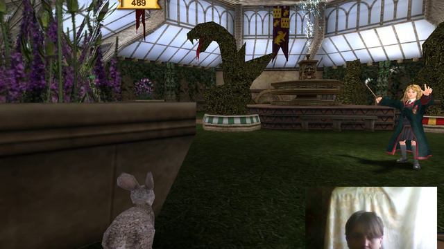 Прохождение Гарри Поттер и Узник Азкабана #13