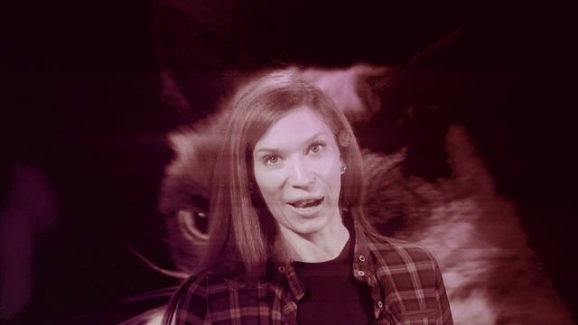 НЕФОРМАТ: дом для птиц, русские китайцы и изменения в русском языке